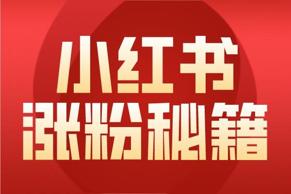 买号的流程是什么?